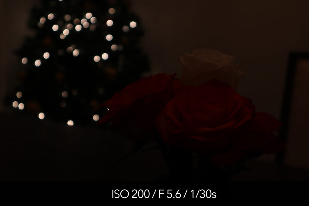 Canon M5 high ISO test and pictures