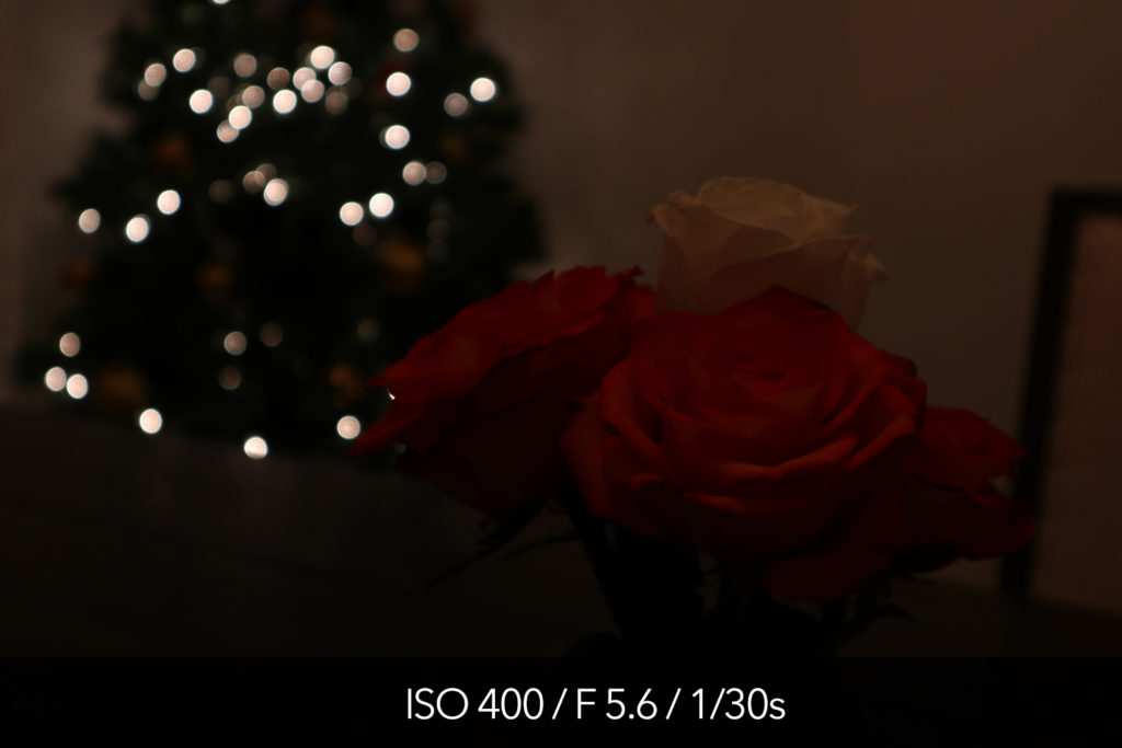 Canon M5 high ISO test and pictures