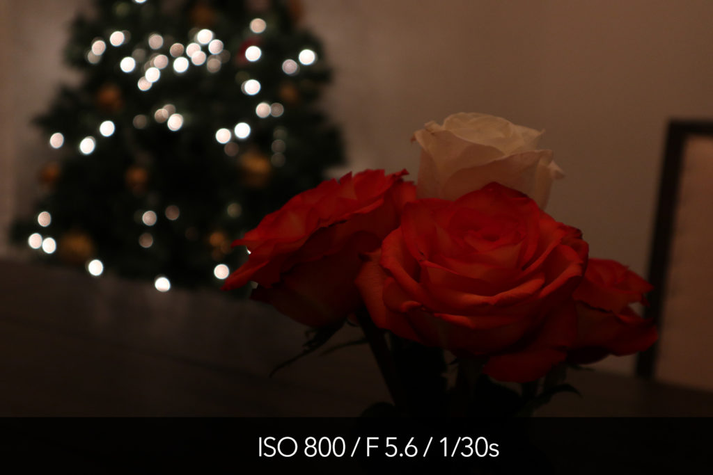 Canon M5 high ISO test and pictures