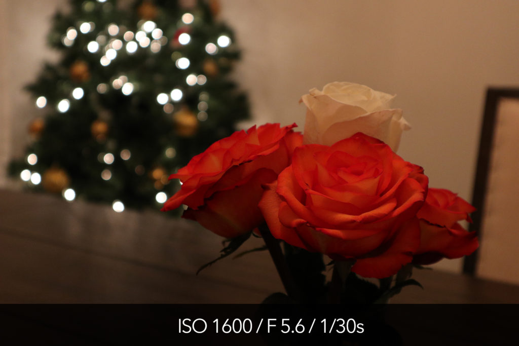 Canon M5 high ISO test and pictures