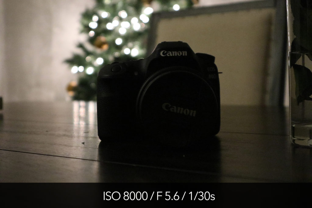 Canon M5 high ISO test and pictures